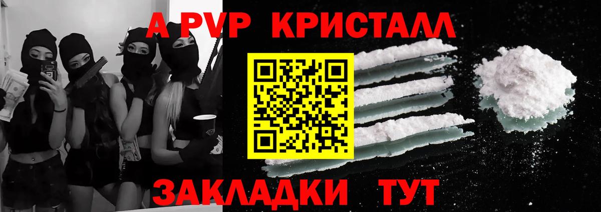 A PVP СК Архангельск