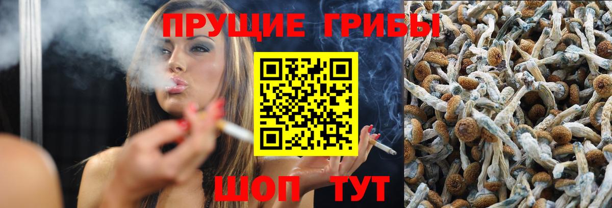 Галлюциногенные грибы Magic Shrooms  Вход с VPN  Архангельск 